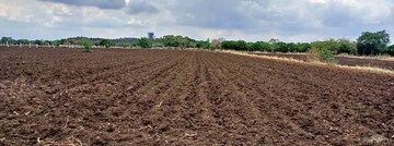  Land For Sale in Shadnagar