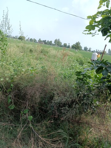 Plot Area in  Plot at Palwal – for Sale
