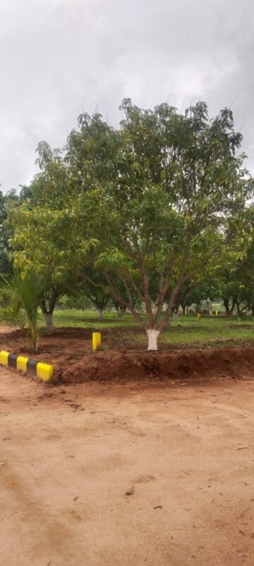 Plot Area in  Plot at Uppal – for Sale