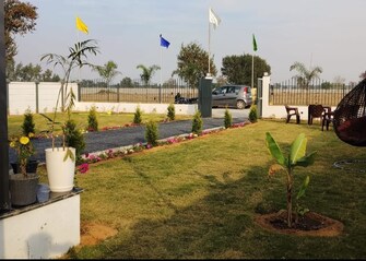 Plot For Resale in Baliana Rohtak  7314556