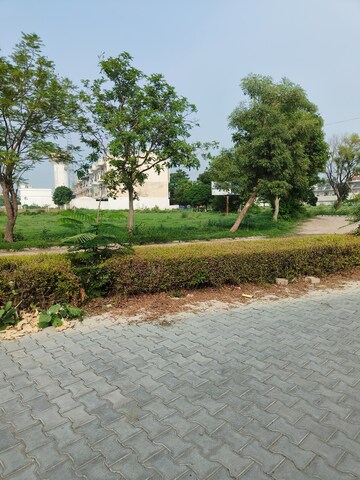 Plot Area in  Plot at Sector 118 – for Sale