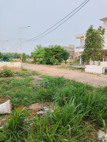 Plot Area in  Plot at Sector 118 – for Sale
