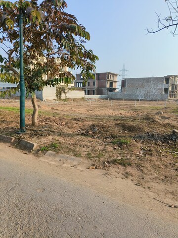 Plot Area in  Plot at Sector 109 – for Sale