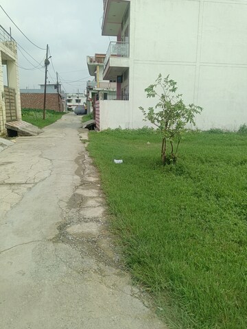 Plot Area in  Plot at Sewla Kalan – for Sale