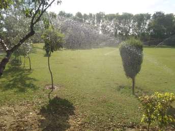 Commercial Land 3 Acre For Resale in Binola Gurgaon  7314903