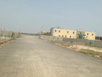 Plot For Resale in Jewar Greater Noida  7315170