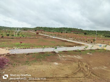 Plot For Resale in Budhera Hyderabad  7315385