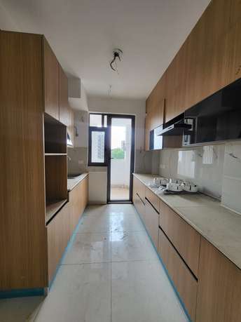 3 BHK Apartment For Rent in Rise Skybungalows Sector 41 Faridabad  7315469