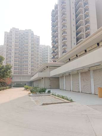 2 BHK Apartment For Rent in Pivotal Paradise Sector 62 Gurgaon  7315517