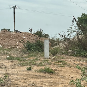 Plot For Resale in Neopolis Hyderabad  7315703