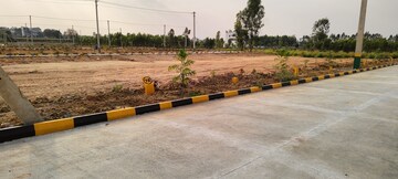 Plot For Resale in Sampangi Rama Nagar Bangalore  7315916