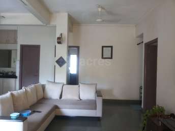 3 BHK Apartment For Rent in Patel Aangan Kothrud Pune  7315927
