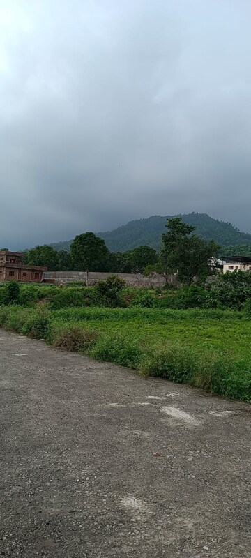  Plot For Sale in Bhogpur