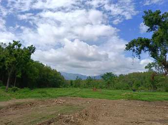 Plot For Resale in Manduwala Dehradun  7316205