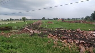 Plot For Resale in Rapadia Village Bhopal  7316749