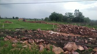 Plot For Resale in Rapadia Village Bhopal  7316749