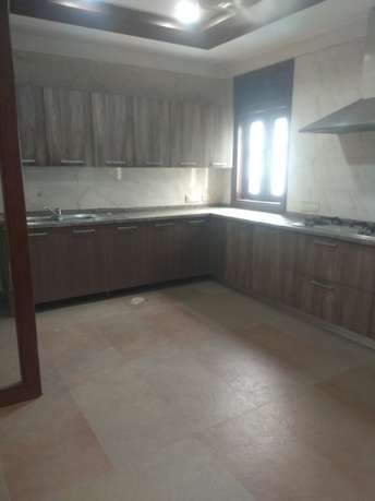 4 BHK Builder Floor For Rent in New Friends Colony Delhi  7317083
