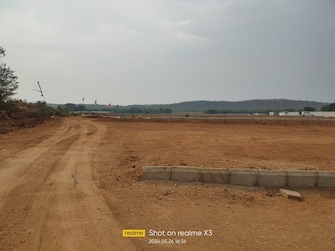 Plot For Resale in Shadnagar Hyderabad  7317080