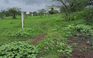 Plot For Sale in Pathardi