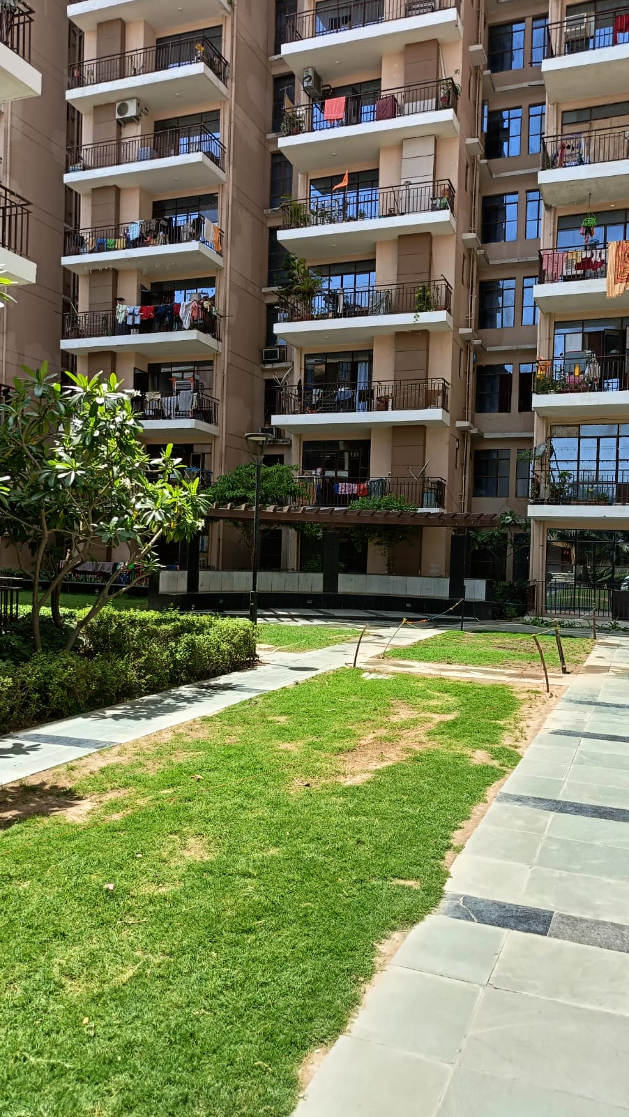 2 BHK Apartment For Rent in Signature Orchard Avenue 2 Sector 93 Gurgaon  7317224