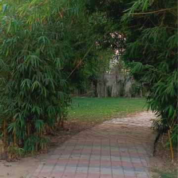 Plot Area in  Plot at Baghpat Road – for Sale