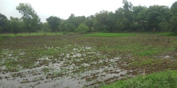 Plot Area in  Plot at Pen – for Sale