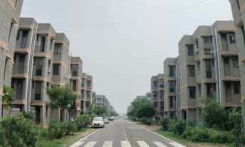 1 BHK Apartment For Rent in Noida Ext Sector 10 Greater Noida  7317901