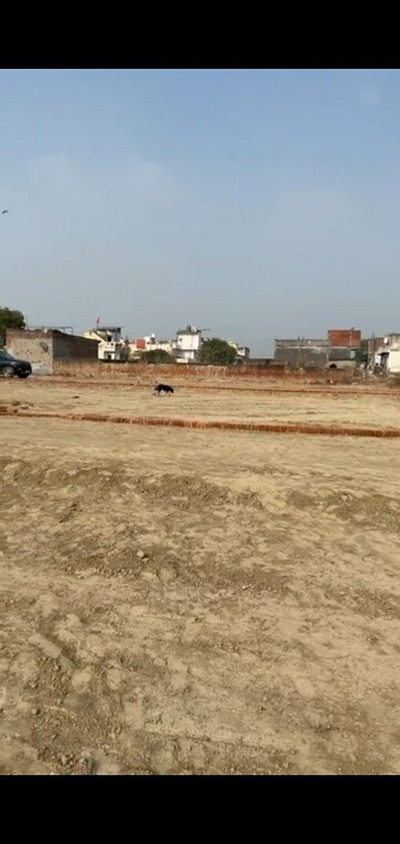 Plot Area in  Plot at NCR Olympia, Sector 79 – for Sale