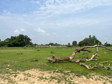 Plot Area in  Plot at Kanpur Road – for Sale