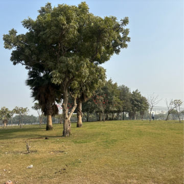 Plot Area in  Plot at Tappal – for Sale