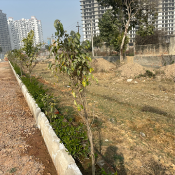 Plot Area in  Plot at Tappal – for Sale