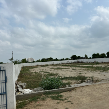 Plot For Resale in Gaur Yamuna City Plot Yex Gaur Yamuna City Greater Noida  7319634