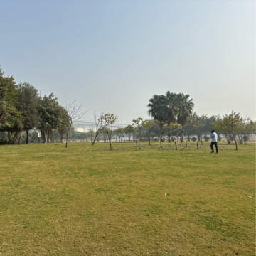 Plot Area in  Plot at Tappal – for Sale
