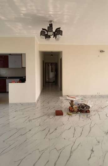 3 BHK Builder Floor For Rent in Sector 46 Noida  7319752