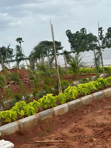 Plot Area in  Plot at Sri Bhumi Eeshaanya, Kankipadu – for Sale
