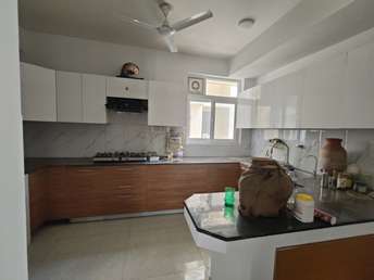 4 BHK Apartment For Rent in Millenium Bajrang Society Sector 43 Gurgaon  7320821