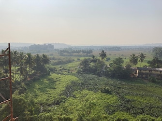 Commercial Land 17675 Sq.Ft. For Resale in Mapusa North Goa  7320936