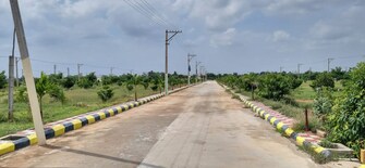 Plot For Resale in Suryapet Hyderabad  7321425