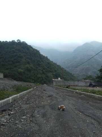 Plot Area in  Plot at Mussoorie Road – for Sale