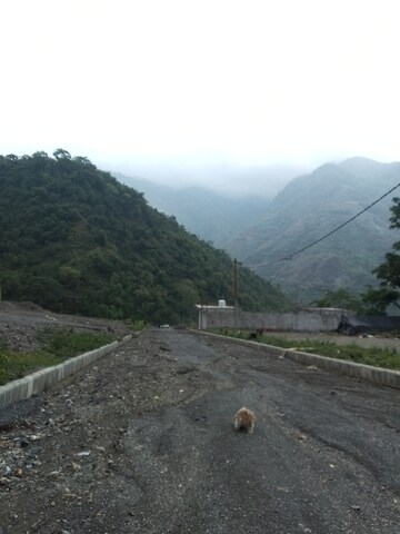 Plot Area in  Plot at Mussoorie Road – for Sale