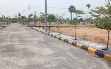 Plot For Sale in Pasumamula