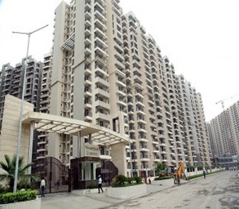 2 BHK Apartment For Rent in Gaur City 2 - 11th Avenue Noida Ext Sector 16c Greater Noida  7322043