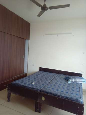 3 BHK Apartment For Rent in Dhakoli Village Zirakpur  7322103