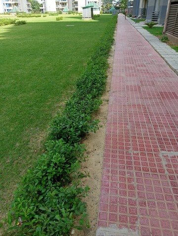 1.5 BHK Apartment – Garden View at Signature Global Synera, Sector 81 - for Sale