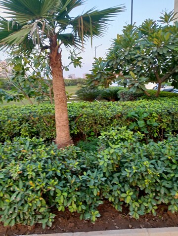 3 BHK Apartment – Garden View at Signature Global Synera, Sector 81 - for Sale