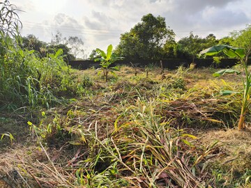 Plot Area in  Plot at Vasai West – for Sale
