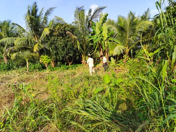  Plot – Garden View at Vasai West - for Sale