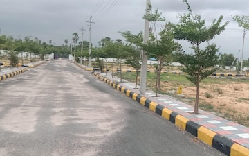 Plot For Sale in Narsapur Highway