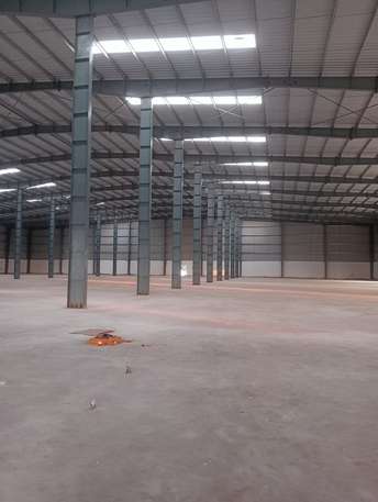 Commercial Warehouse 80000 Sq.Yd. For Rent in Mahapura Jaipur  7323376