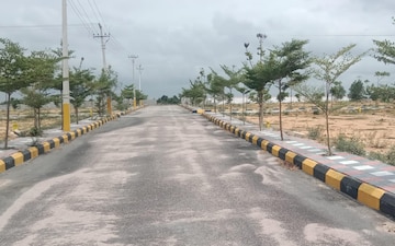 Plot For Sale in Narsingi